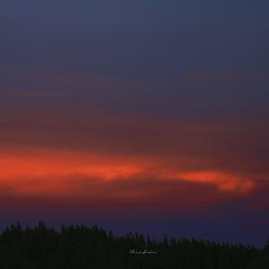 三级三黄三级三黄三级三级
