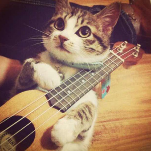 三级三黄三级三黄三级三级
