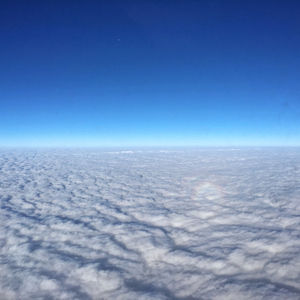 三级三黄三级三黄三级三级
